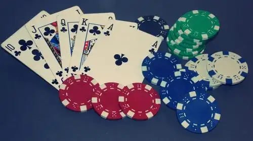 5555bet com